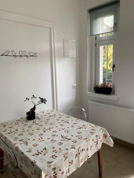 Kaptalantoti Parokia Apartman Es Coworking A Balaton Mellett מראה חיצוני תמונה
